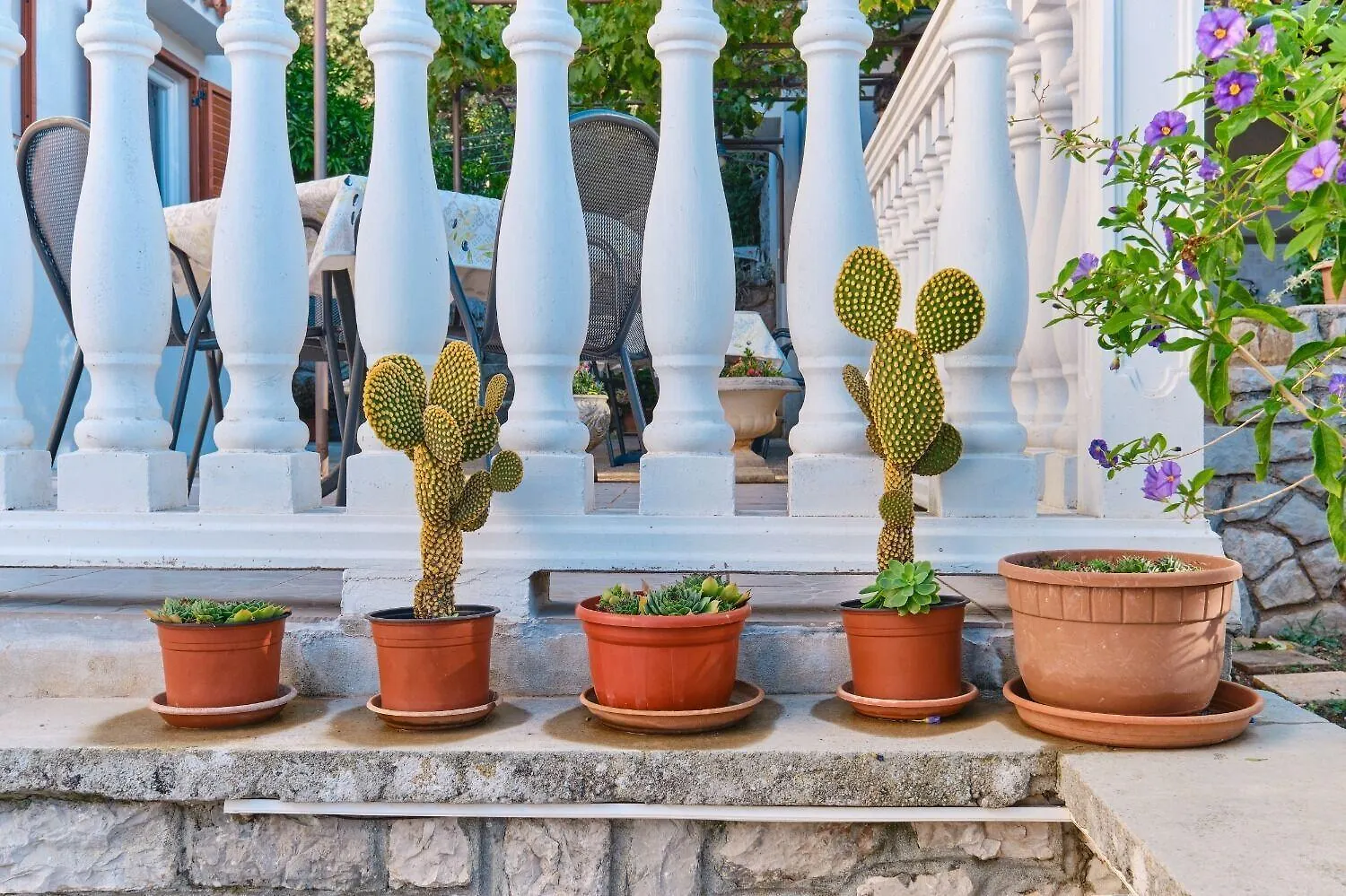 Apartment Luce Mali Losinj 0*,
